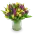 Kytice  tulipánů